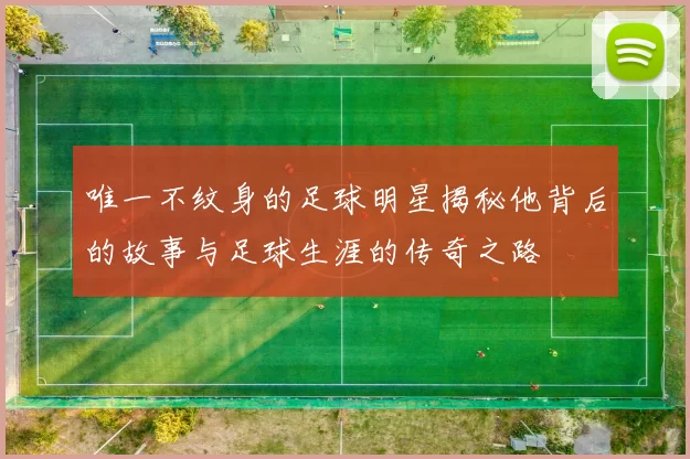 唯一不纹身的足球明星揭秘他背后的故事与足球生涯的传奇之路