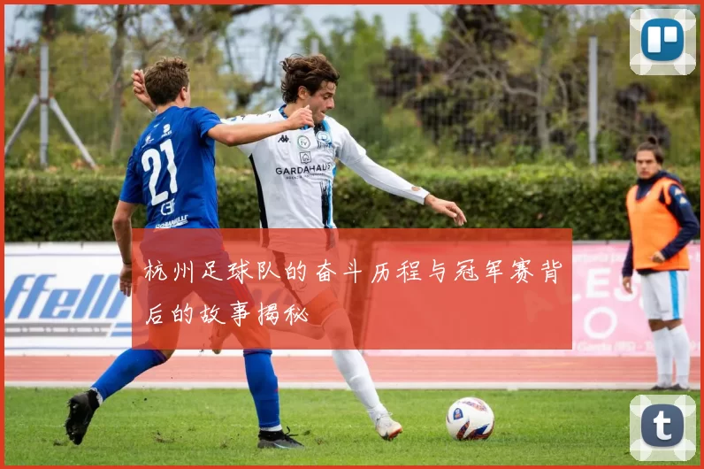杭州足球队的奋斗历程与冠军赛背后的故事揭秘