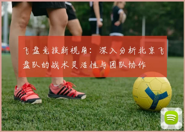 飞盘竞技新视角：深入分析北京飞盘队的战术灵活性与团队协作