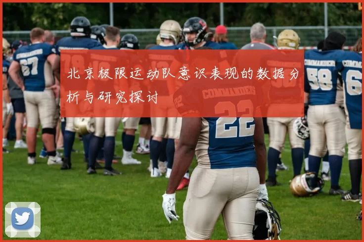 北京极限运动队意识表现的数据分析与研究探讨