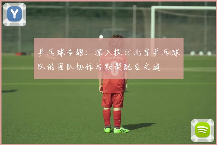 乒乓球专题：深入探讨北京乒乓球队的团队协作与默契配合之道