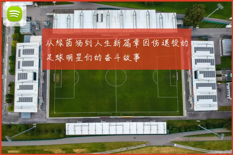 从绿茵场到人生新篇章因伤退役的足球明星们的奋斗故事