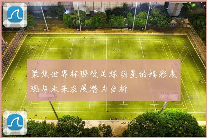 聚焦世界杯现役足球明星的精彩表现与未来发展潜力分析