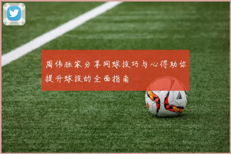 周伟独家分享网球技巧与心得助你提升球技的全面指南