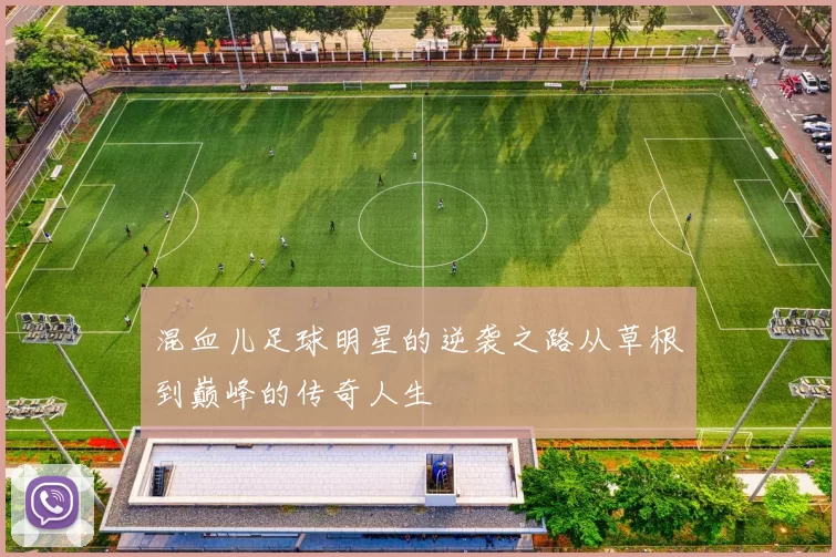 混血儿足球明星的逆袭之路从草根到巅峰的传奇人生