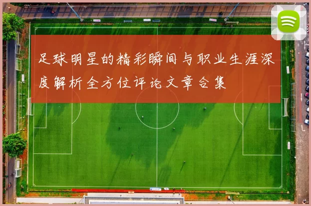 足球明星的精彩瞬间与职业生涯深度解析全方位评论文章合集