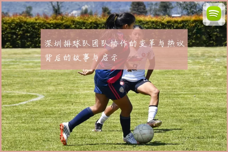 深圳排球队团队协作的变革与热议背后的故事与启示