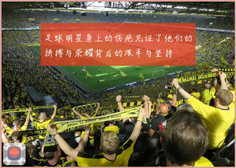 足球明星身上的伤疤见证了他们的拼搏与荣耀背后的艰辛与坚持