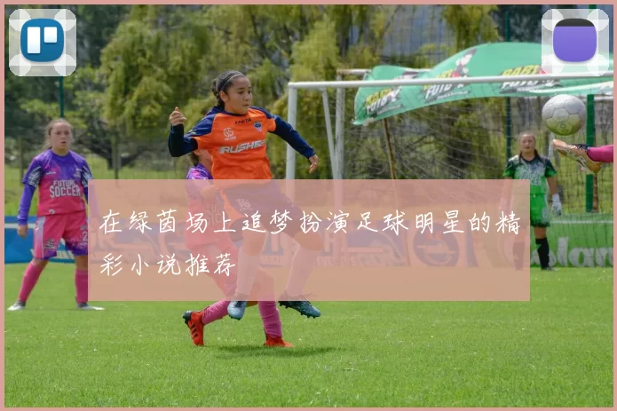 在绿茵场上追梦扮演足球明星的精彩小说推荐