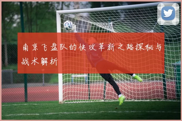 南京飞盘队的快攻革新之路探秘与战术解析