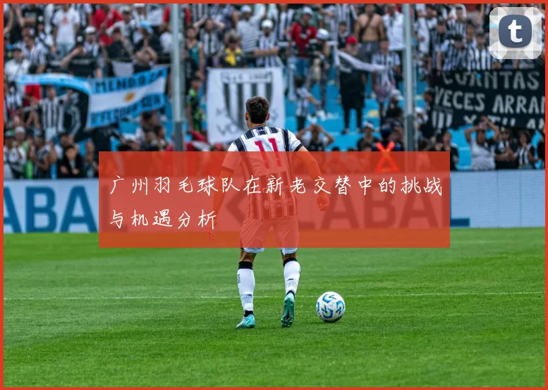 广州羽毛球队在新老交替中的挑战与机遇分析