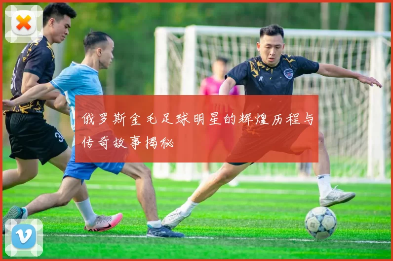 俄罗斯金毛足球明星的辉煌历程与传奇故事揭秘